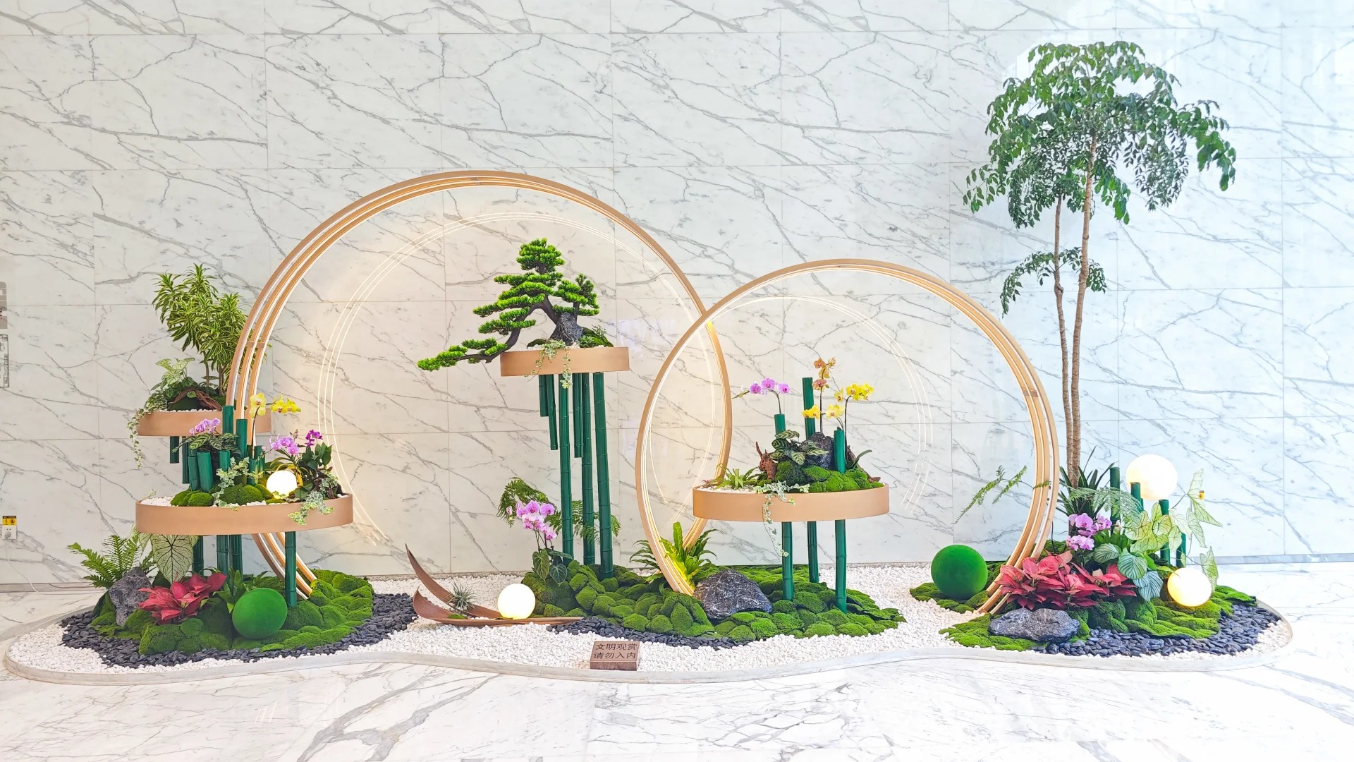 了解宁波鄞州花卉租赁方案，畅享花卉租赁新体验