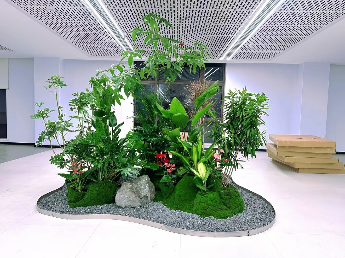 了解宁波鄞州花卉租赁方案，畅享花卉租赁新体验